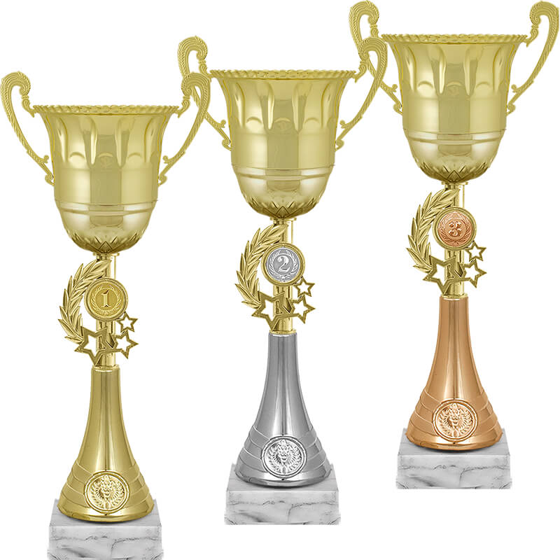 Кубок Ойла 2 место