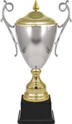 Кубок Самрат (серебро) Кубок Самрат (серебро)