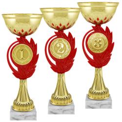 Кубок 3 место