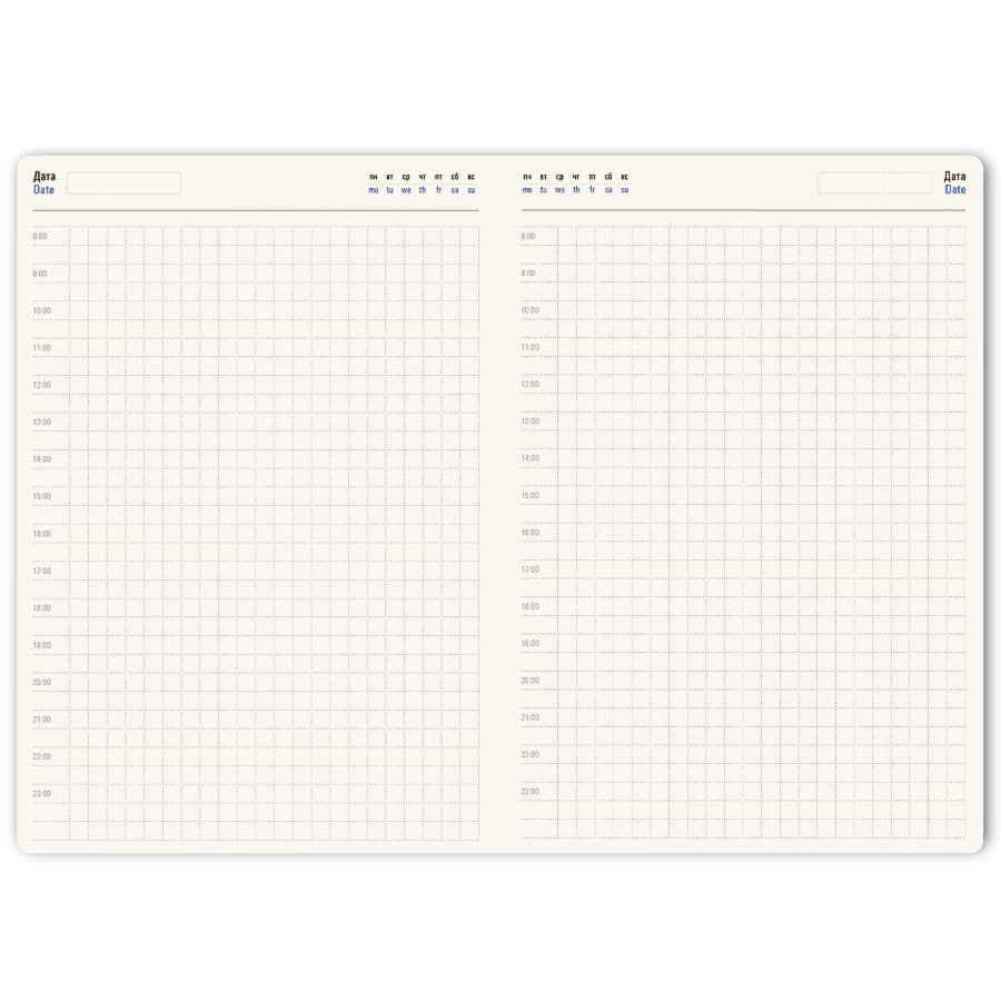 Ежедневник недатированный Ray, формат А5, в клетку