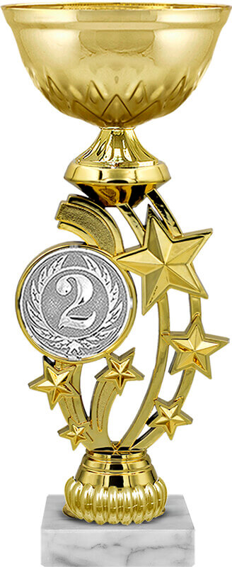 Кубок Рио 2 место