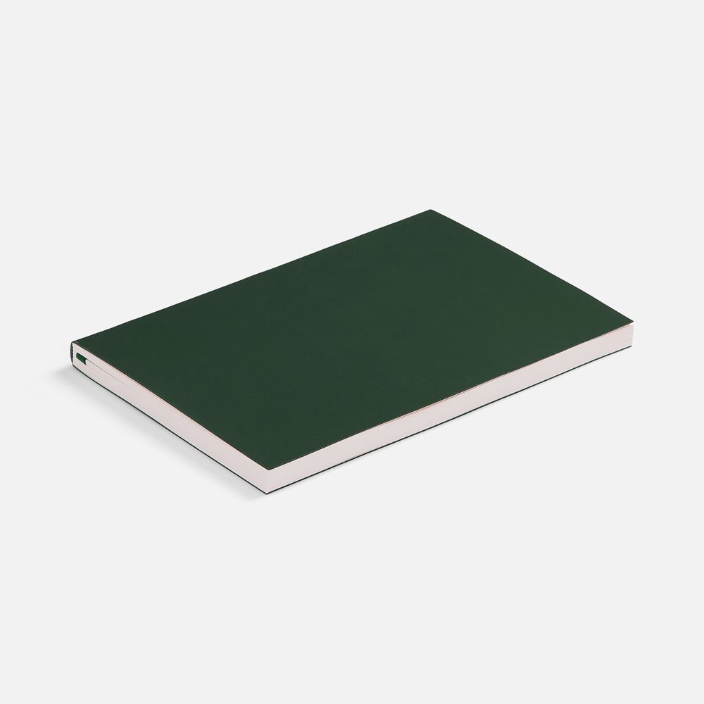Ежедневник Flat Light ver.2, недатированный, зеленый Ежедневник Flat Light ver.2, недатированный, зеленый