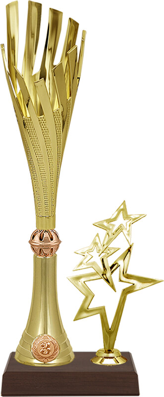 Кубок Энн 3 место