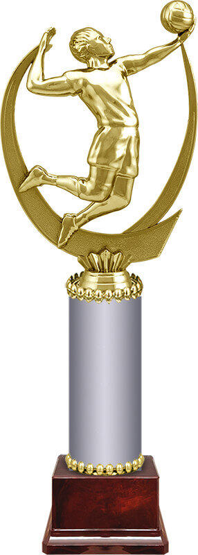 Награда Волейбол