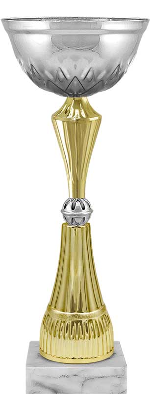 Кубок Сплин (под серебро)