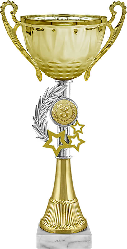 Кубок Ричик 3 место