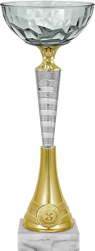 Кубок Лирик 3 место