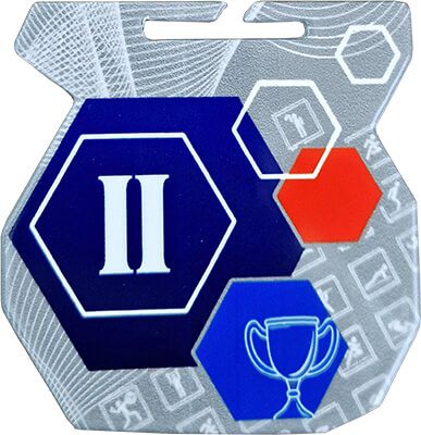 Медаль Архимед II место