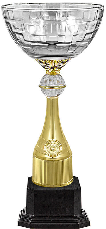 Кубок Ньютон