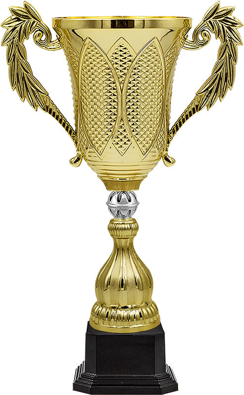 Кубок Мастерман