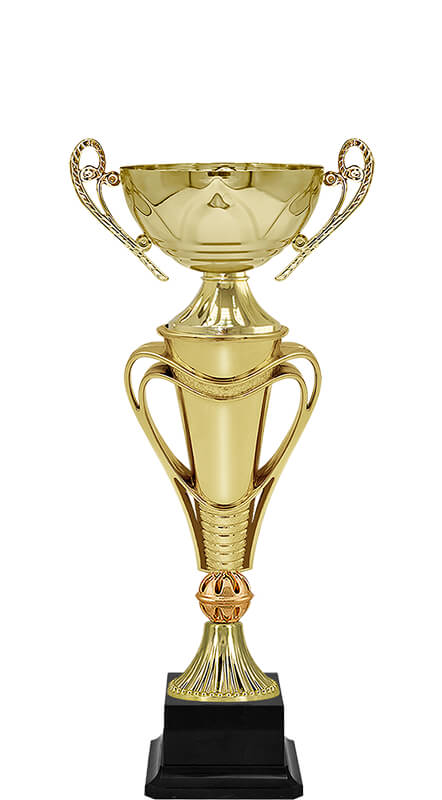 Кубок Тэйра (под бронзу)