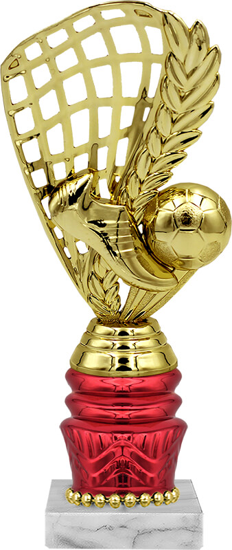 Награда футбол