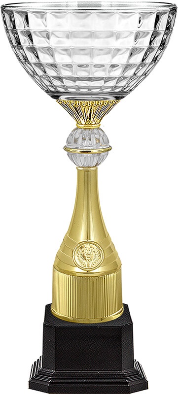 Кубок Ньютон