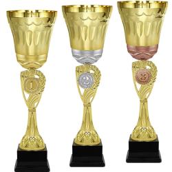 Кубок Эрнест 3 место